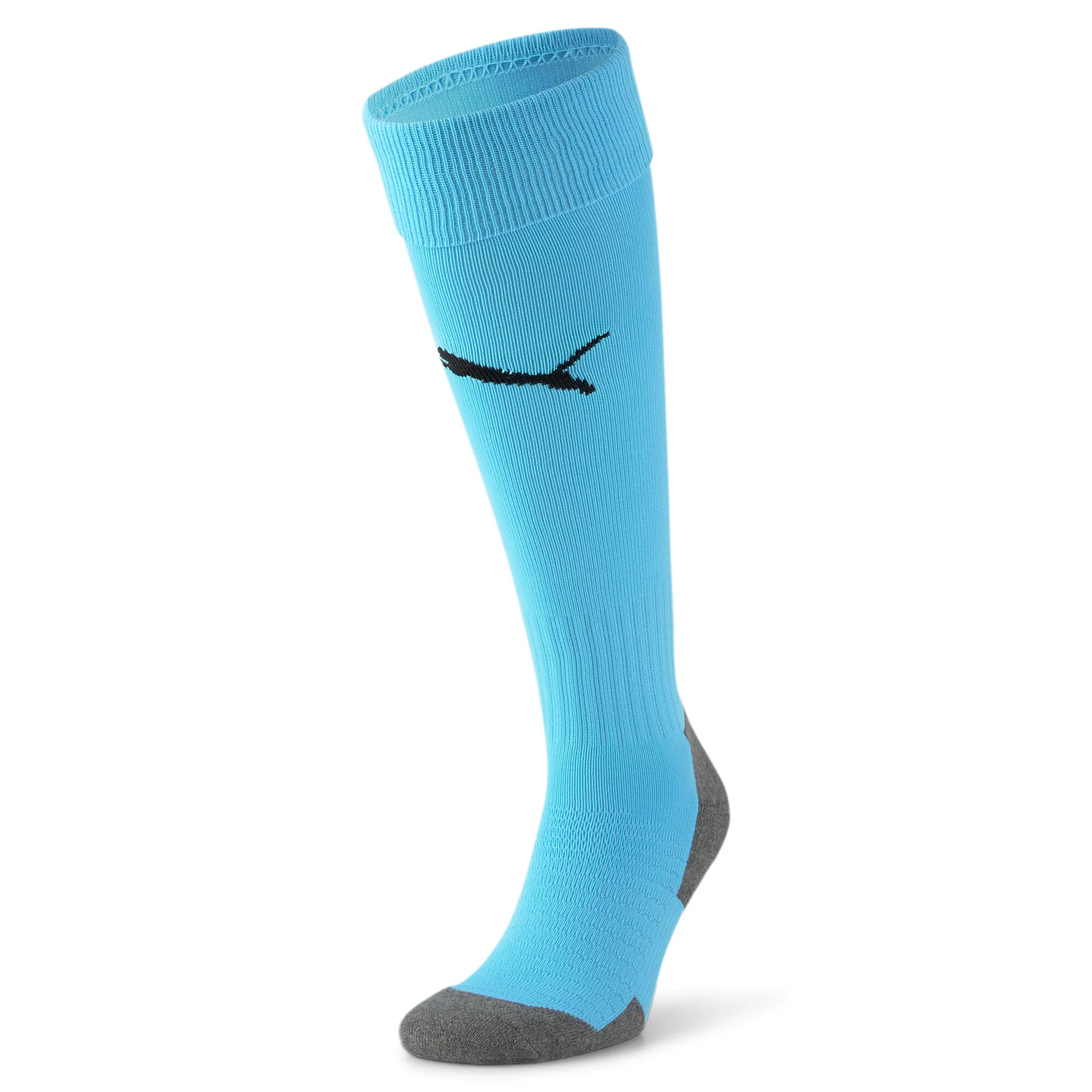 teamLiga Socks Core Blue