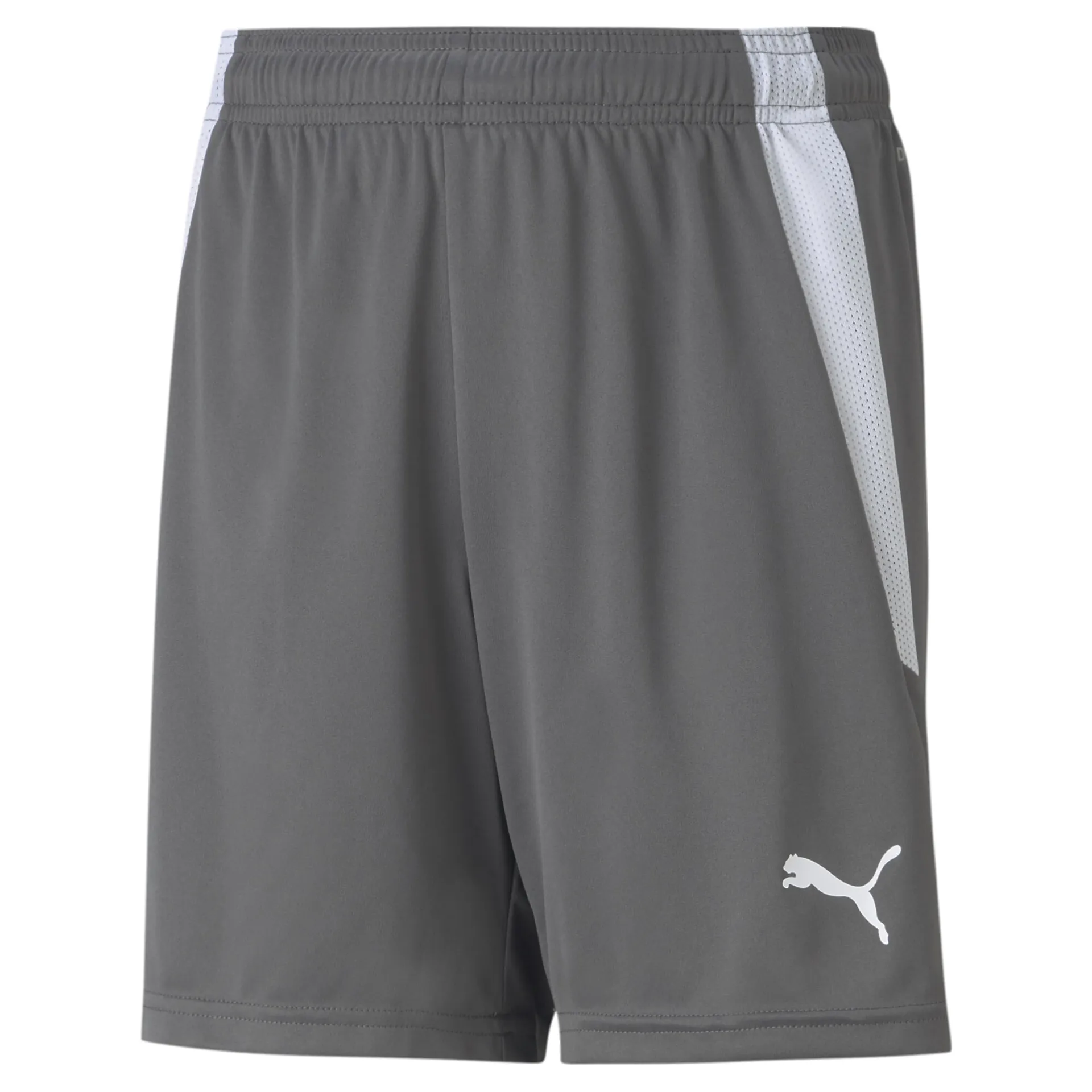 teamLiga Shorts Grey